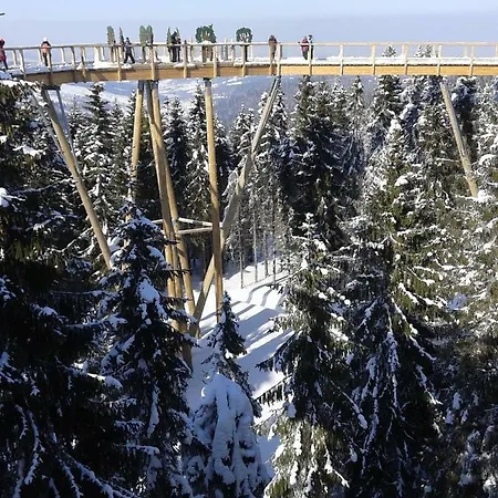 Apartament B4-ad1 Wielka Łomnica