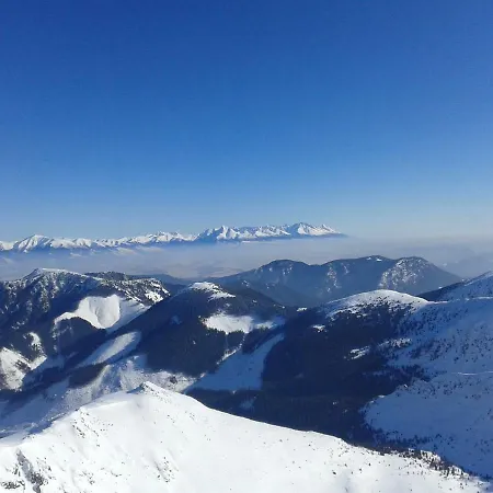 B4-ad1 韦尔卡鲁穆尼卡