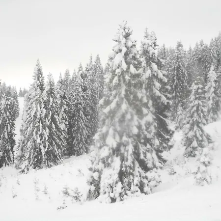 B4-ad1 公寓 韦尔卡鲁穆尼卡